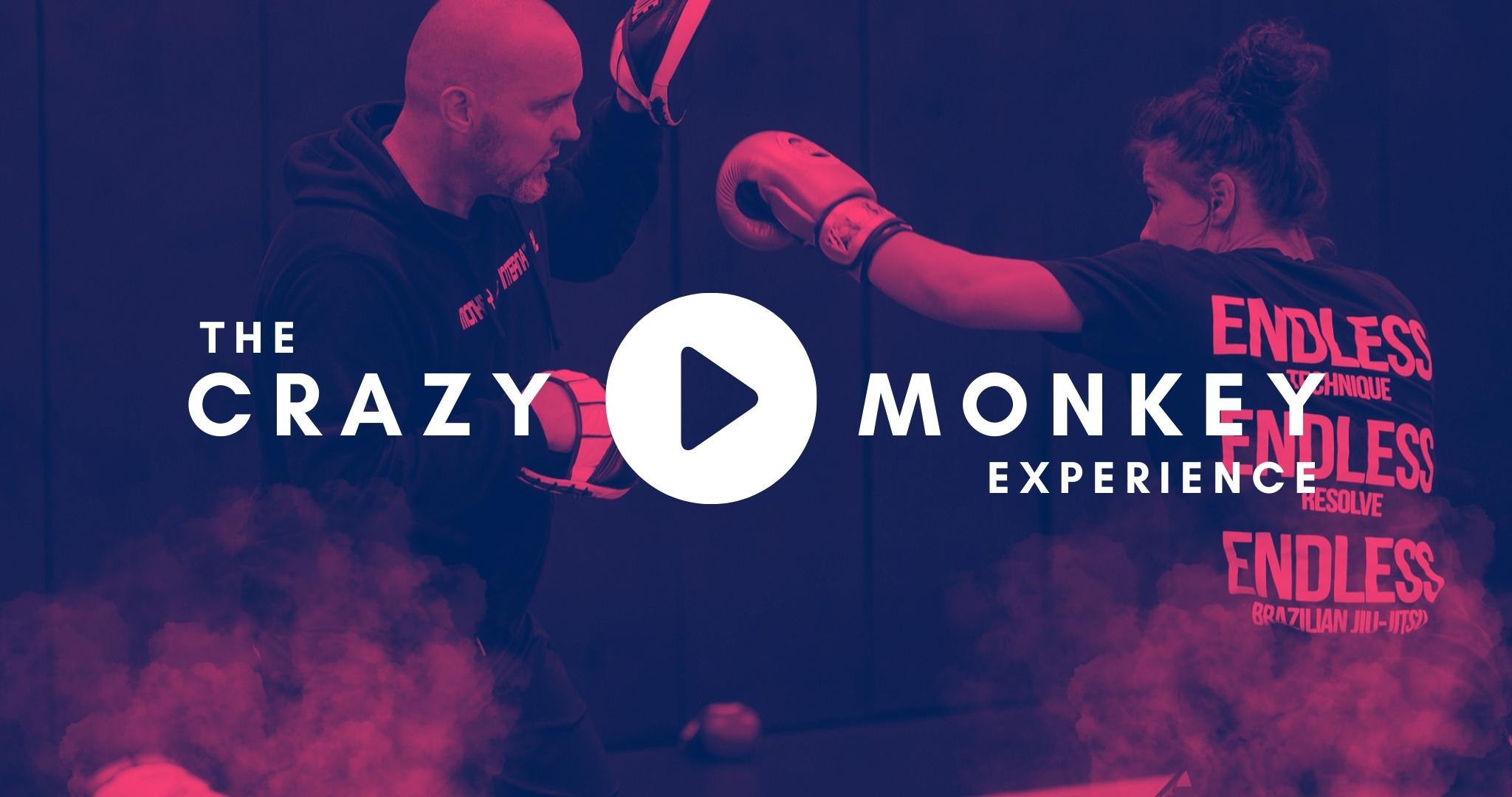 cmexperience The School of Crazy Monkey Modern Martial Arts Coaching